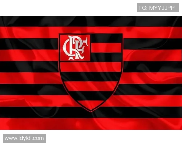 博塔弗戈与弗拉门戈比赛前瞻及比分预测分析 博塔弗戈与弗拉门戈比赛前瞻及比分预测分析