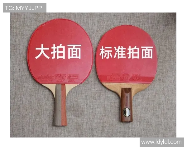 乒乓球新手必看灵活性训练技巧与入门指南全解析