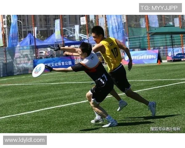 飞盘盛宴揭秘北京飞盘队的训练状态与竞技风采 飞盘盛宴揭秘北京飞盘队的训练状态与竞技风采