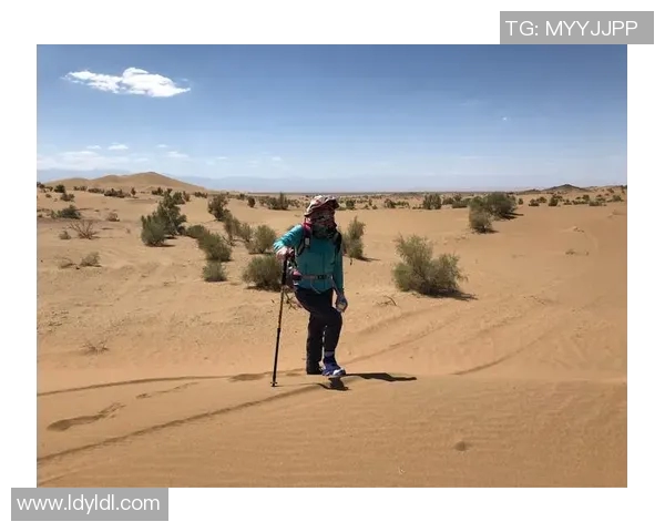 深度对话：杨敏在DOTA2世界中的成长与挑战之旅